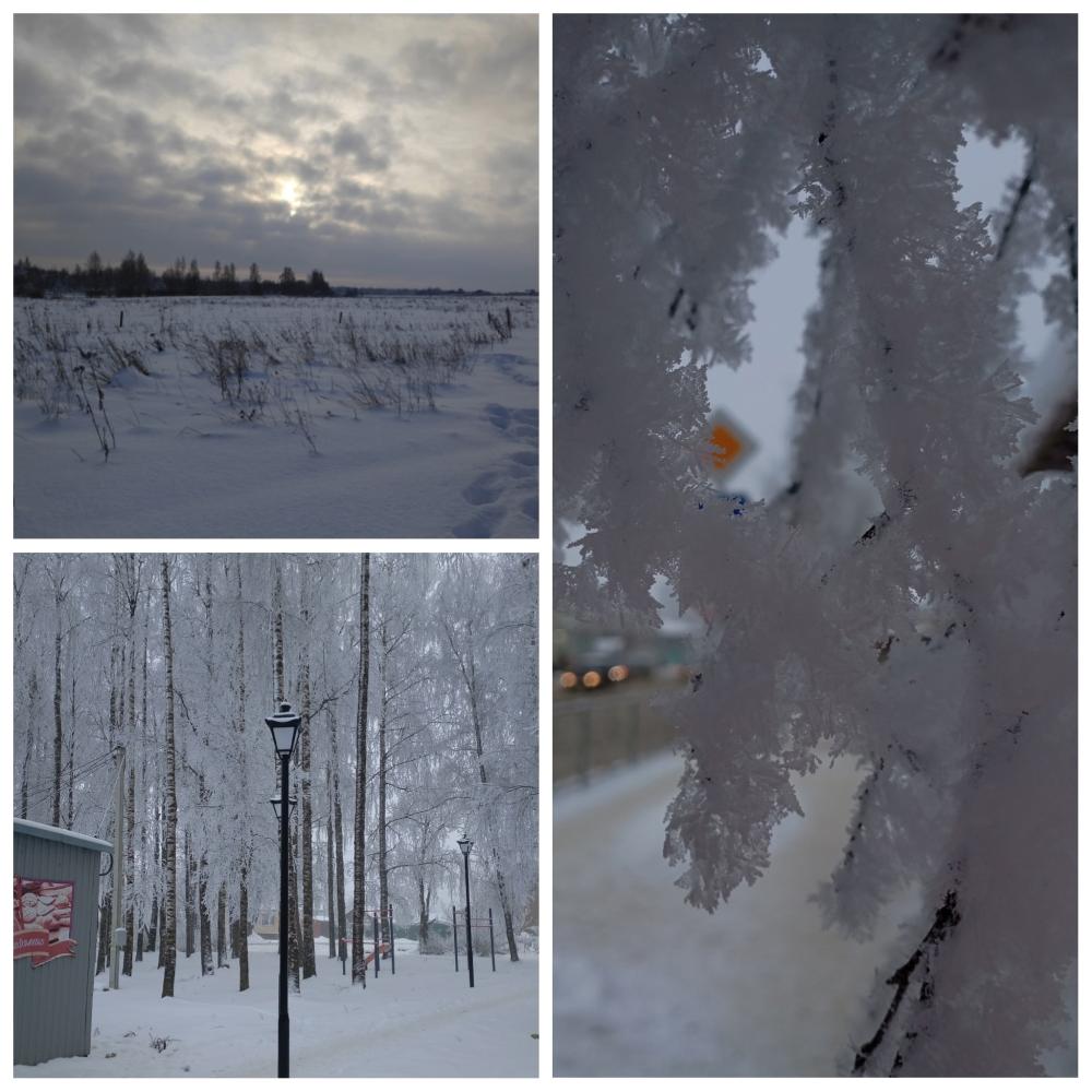 Фотоконкурс «Новогодние каникулы»